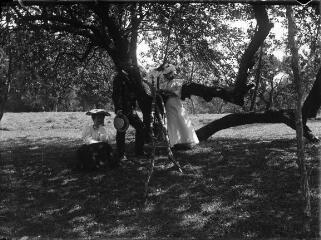1 vue  - Deux femmes et un homme dans les branches d\'un arbre. / [Anonyme] (ouvre la visionneuse)