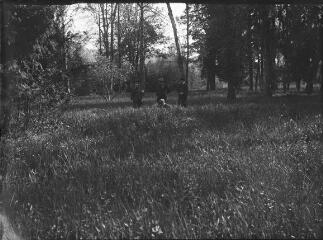 1 vue  - Groupe d\'hommes dans les hautes herbes dans un sous-bois. / [Anonyme] (ouvre la visionneuse)