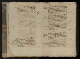 327 vues  - Usuel du compoix de 1529 rédigée en 1557, tome 2. 189 PUB 3 (ouvre la visionneuse)
