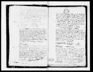 104 vues  - Baptêmes, mariages, sépultures (1773-1782, 2 novembre) 1 MI EC 39/3 (ouvre la visionneuse)