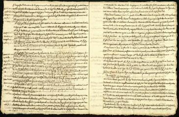 66 vues  - \'Cérémonial de la Cour des comptes, aydes et finances de Montpellier, commencé le 16 janvier 1764, et fini le 8 juillet 1789\'. 23 J 9 (ouvre la visionneuse)