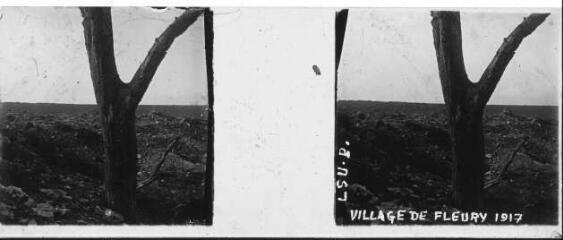 1 vue  - L.S.U.P. Village de Fleury 1917 / [Anonyme]. 41 Fi 123 (ouvre la visionneuse)