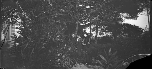 1 vue  - Trois femmes parmi les arbres d\'un jardin. / [Anonyme] (ouvre la visionneuse)