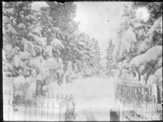 1 vue Cimetière sous la neige. / [Anonyme]