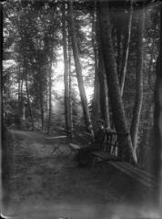 1 vue  - Femme assise sur un banc dans un bois. / [Anonyme] (ouvre la visionneuse)