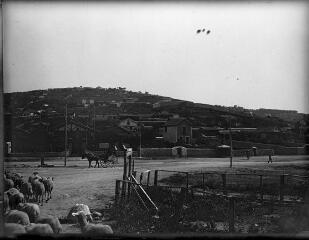 1 vue  - Vue du Mont Saint-Clair, côté nord-est ; troupeau de brebis traversant les rues. / [Anonyme] (ouvre la visionneuse)